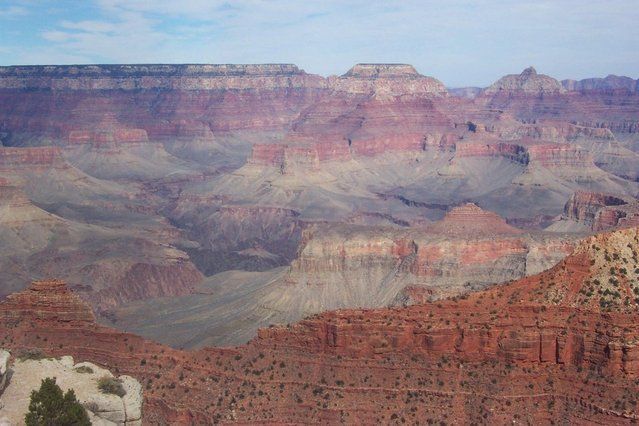 Grand Canyon one star review, 1 1/2 stars
